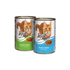 Canned Food for Cats