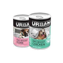 Canned Food for Dogs